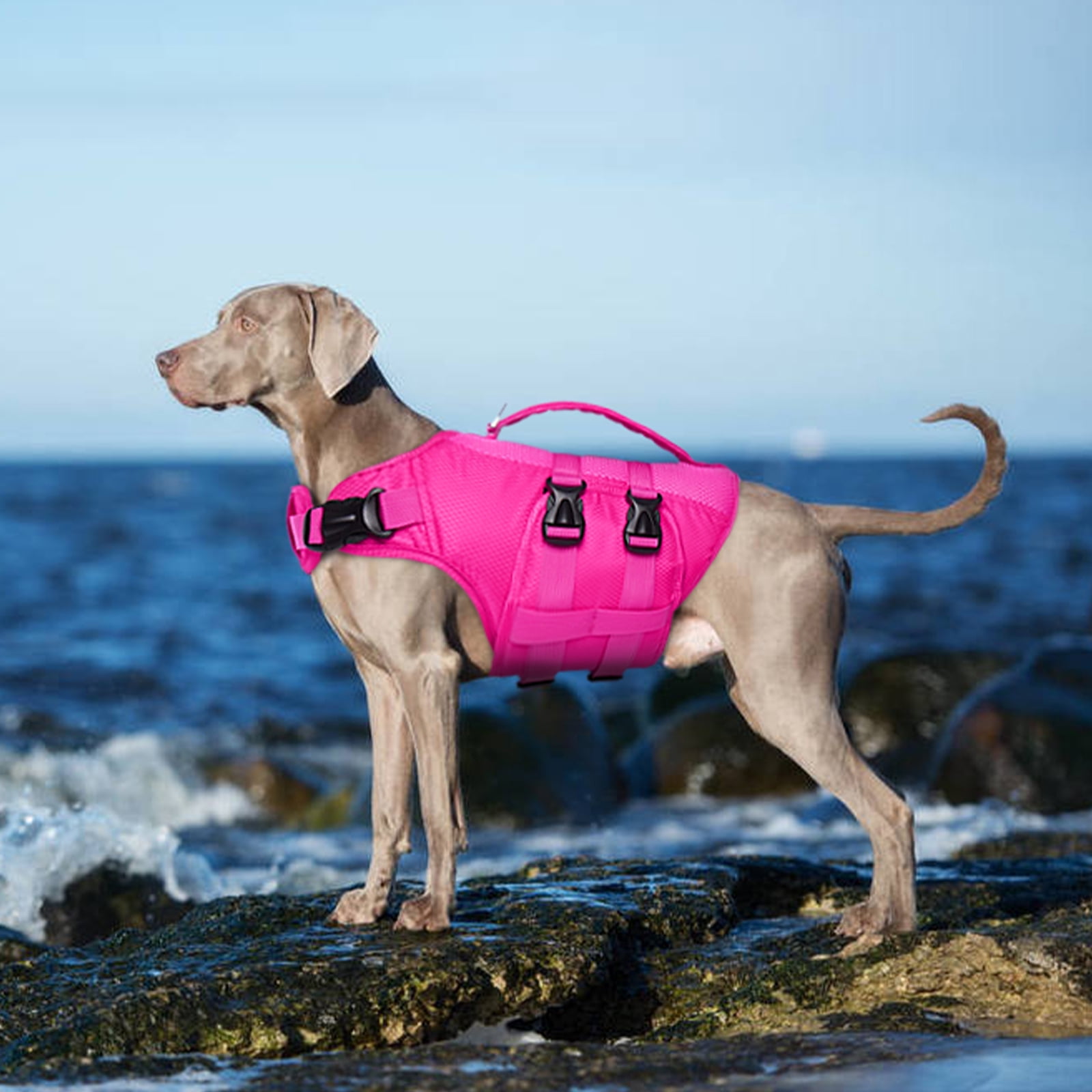 Kuoser Dog Life Jacket, Reflective Life Vest with Rescue Handle for Small Medium Large Dogs, Rosered, S
