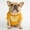 Yellow, variant on Stylish Pug Dog T Shirt Round Neck Comfortable Blend Cute Teddy Puppy Cat Apparel Fashion Pet Wear Outfit
