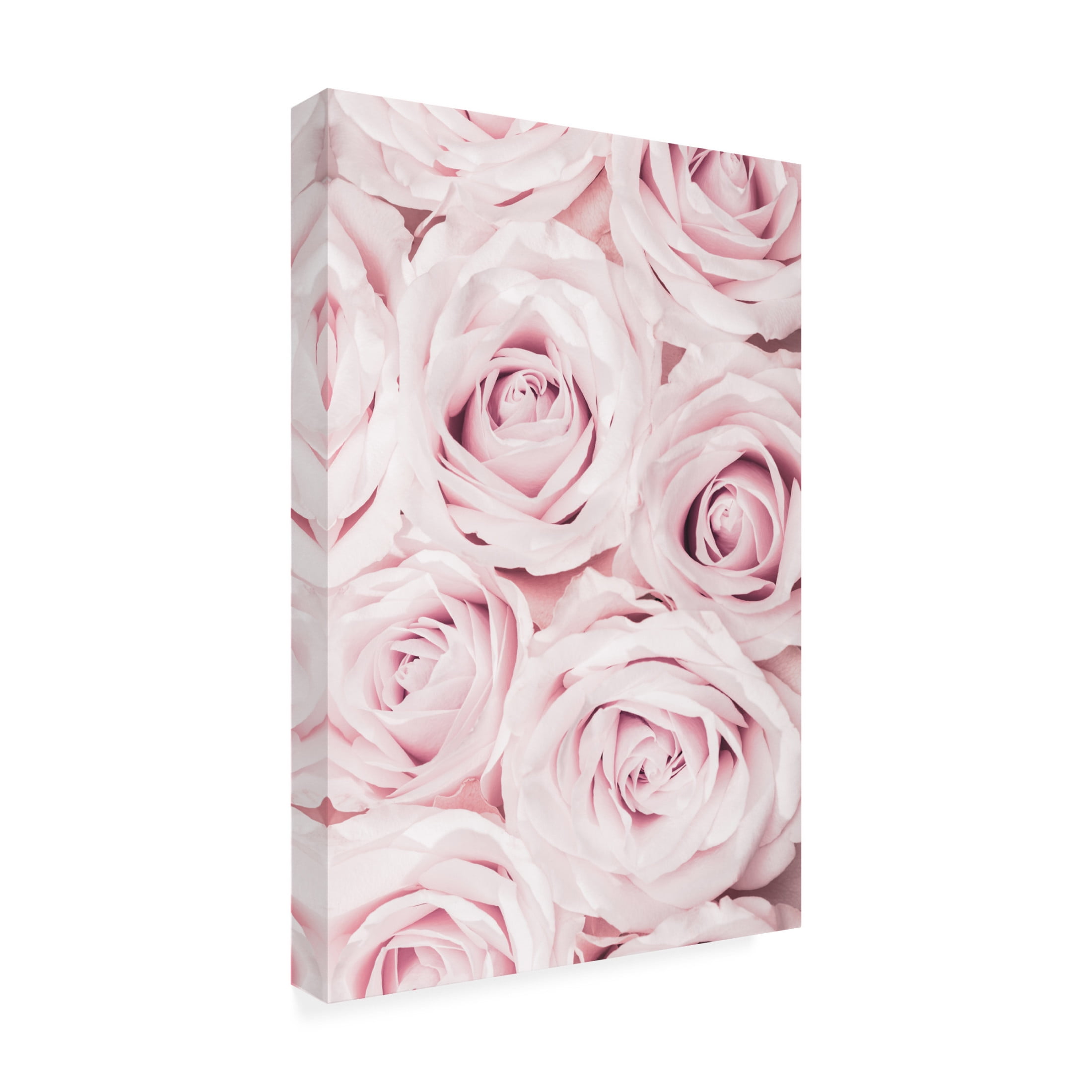 Trademark Fine Art Pictufy Studio Pink Roses No 02 Canvas Wall Art