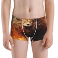 thumbnail image 5 of Yiaed Cool Fire Lion Print Boys' Boxer Briefs Cotton Casual Stretch Comfort Boys Boxers - Kids Boxer Briefs Underwear for Boys (6-18)-Large, 5 of 5