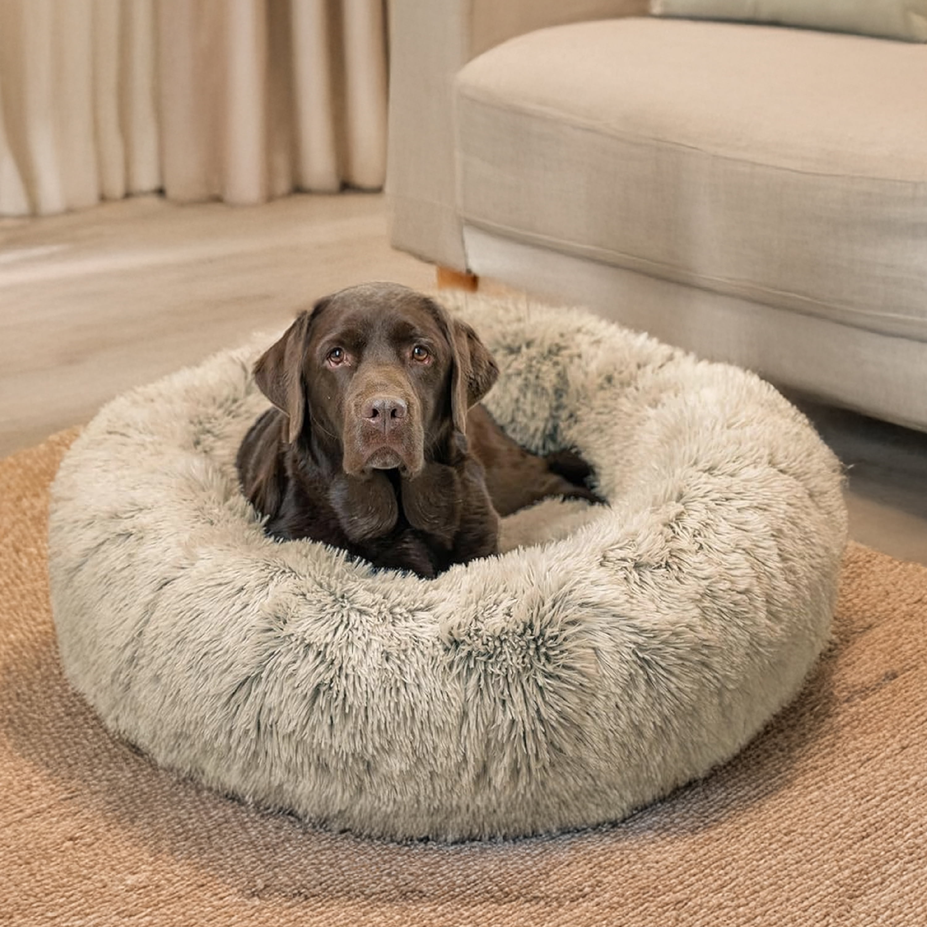 Best Friends by Sheri The Original Calming Donut Dog Bed & Blanket Bundle – Washable Plush Bed for Large Breeds up to 100 lbs, Large (36" x 36") + Throw (40" x 50"), Shag Faux Fur, Taupe