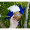 thumbnail image 4 of Large Coconut Shell Hawaiian Warrior Ikaika Feather Makaki'i (Blue ), 4 of 4