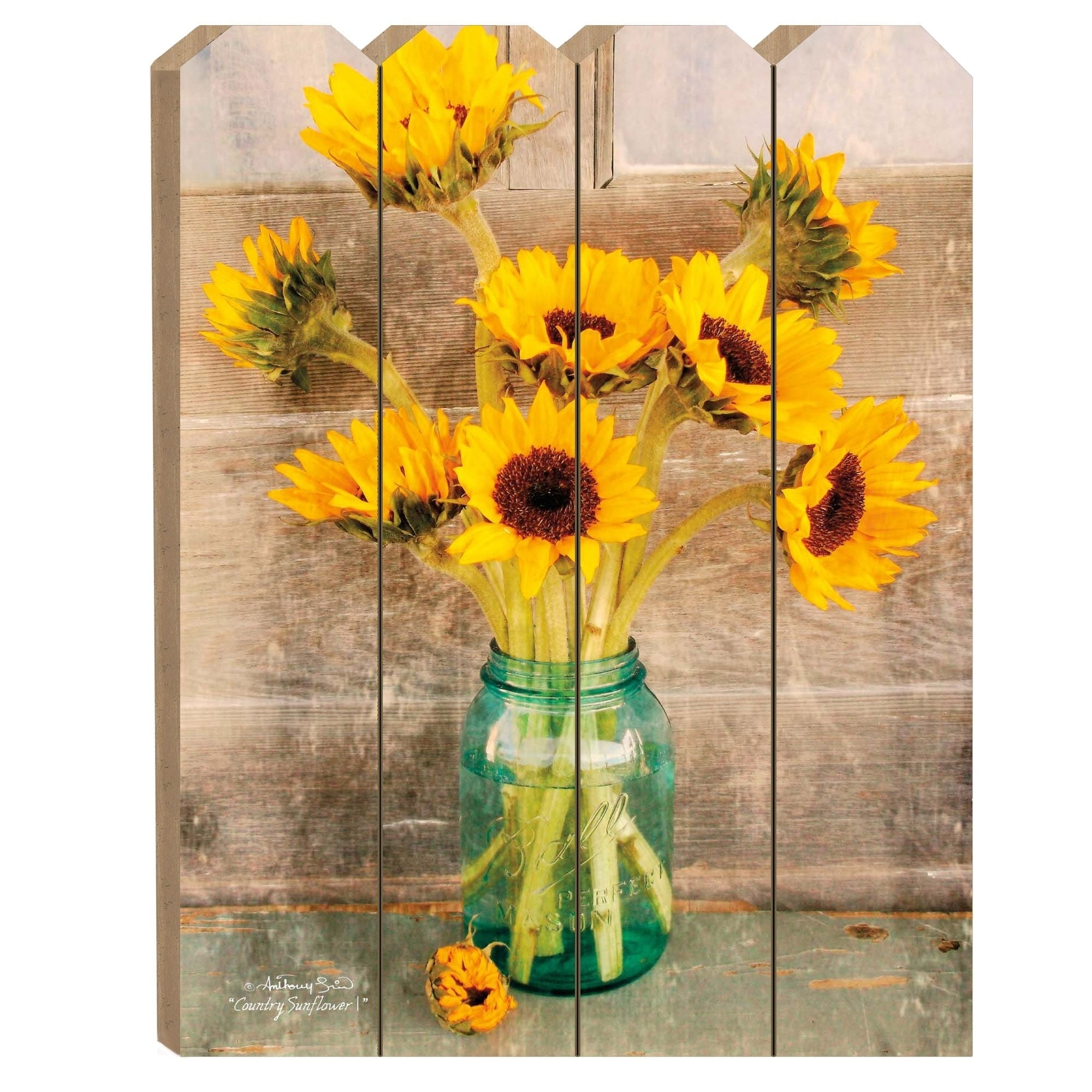Trendy Decor 4U "Country Sunflowers" by Anthony Smith, Printed Wall Art on a Wood Picket Fence ...