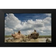 thumbnail image 2 of Van Den, Gert 14x10 Black Modern Framed Museum Art Print Titled - Mudpool Fun, 2 of 5