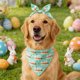 thumbnail image 5 of Ropa y accesorios de Pascua para mascotas, babero para mascotas, bufandas para mascotas con estampado de conejos y huevos de Pascua, decoraciones de Pascua ajustables, adecuadas para mascotas pequeñas, 5 of 6