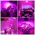 thumbnail image 4 of Grow Light Bulb Full Spectrum LED Plant Light Bulb Grow Lamp Bulb for Indoor, 4 of 10