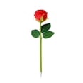thumbnail image 3 of Under $1 dollars!Ballpoint Pens, Creatives Rose Flower Ballpoint Pen Simulation Rose Bouquet Gift Pen Cute Stationery ForFestal Times Decorative Pen Novelties Present For Friend 1ml, Red, 3 of 7