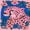 Pink Leopard, variant on 31"x8" Pink Leopard Complete Skateboards for Beginners, Double Kick 7 Ply Maple Deck Cherry Blossoms floral frame Skateboard with Wheels, Gifts for Kids Teens