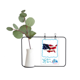 thumbnail image 1 of La bandera de barras y estrellas de America Mapa Jarrones colgantes de vidrio transparente Decoración Botella, 1 of 4