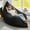 Black, variant on 3 in 1 Giant Bean Bag Chair Convertible Bean Bag Chairs with Machine Washable Cover Large Beanbag Chairs for Adult (Dark Grey)