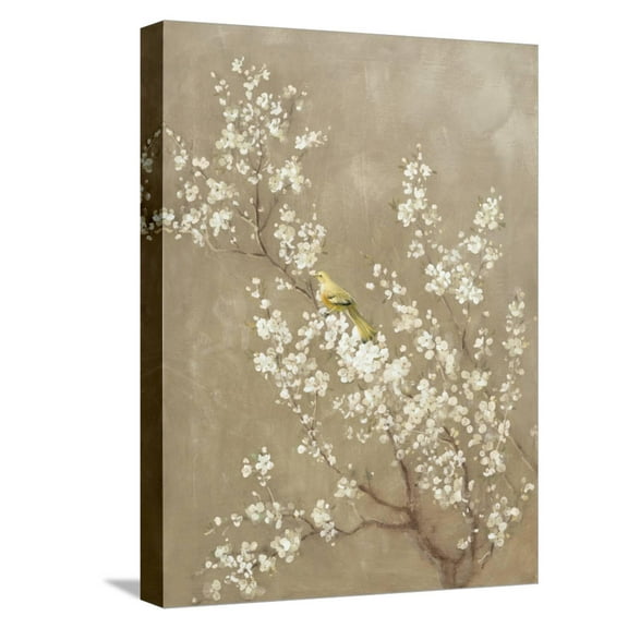 Art.com White Cherry Blossom II Neutral Crop Bird Stretched Canvas Print Wall Art by Danhui Nai, 12" x 16"