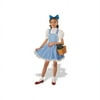 Fender the Wizard of Oz Dorothy Deluxe Girl's Halloween Fancy-Dress Costume for Child, M