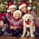 thumbnail image 2 of Christmas Dog Cat Santa Scarf, Dog Winter Knitted Scarf Pet Winter Neck Warmer Costume With White Pompom Ball, 2 of 5