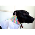 thumbnail image 2 of Rainbow Stripes Dog Bandana, Multi-color, XS/S, 2 of 2