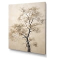 thumbnail image 2 of Designart "Melodic Beige Maple Minimalism V" Tree Maple Wall Decor, 2 of 7