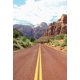 thumbnail image 3 of Fondo de fotografía de retrato para niños y adultos con carretera de Laeacco, camino sinuoso sin fin, paisaje natural, campo, árbol frondoso, 3 of 5