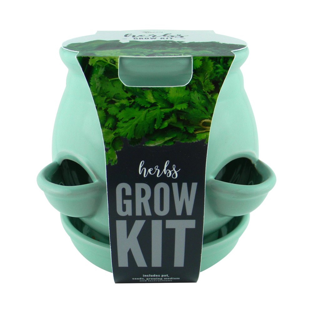 Buzzy 4Pocket Ceramic Grow Kit Guaranteed to Grow Herbs Walmart