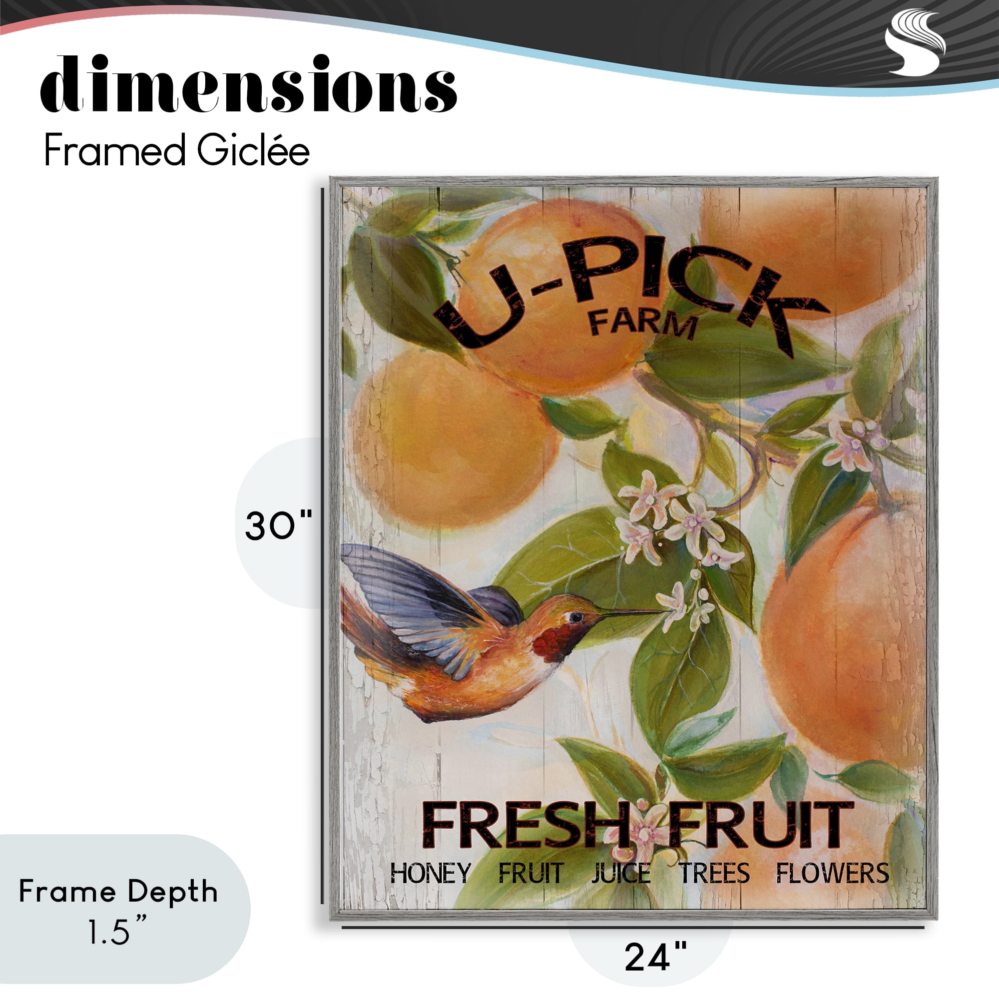 Stupell Industries U-Pick Fresh Fruit Farm Gray Framed Giclee Art, design by Diannart