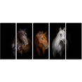 thumbnail image 2 of Chevaux Noirs Rouges et Blancs - Impression sur Toile d'Art Animalier, 2 of 3