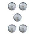 thumbnail image 2 of maskred Resin Crystal Ball Timeless Addition To Collection Crystal Ball With Flower Dandelions 8cm 5Set, 2 of 6