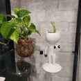 thumbnail image 4 of Sporting Succulents Potted Plants, Artificial Succulent Plants Sporting Succulents Potted Plants, Fun Succulent Plants Pots Decor Home and Office Deco, 4 of 4