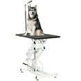 thumbnail image 1 of PawHut Table de Toilettage pour Animaux à Hauteur Réglable pour Chiens Noir, 1 of 10
