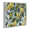 thumbnail image 2 of Stupell Industries French Country Summer Citrus Tree Gray Framed Giclee Art, 20 x 16, by June Erica Vess, 2 of 8