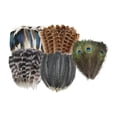 thumbnail image 5 of Tachiuwa Crafts Feathers Artificial Feather Decorative Art Supplies Ornament Colorful Feathers Handicraft Accessories for DIY Crafting 50pcs, 5 of 9