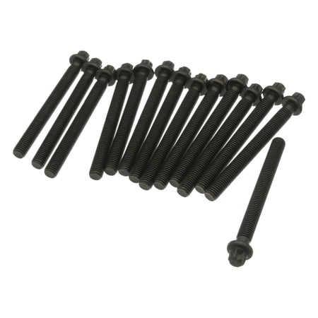 Victor Reinz Cyl. Head Bolt Set  - Set of 14