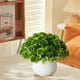 thumbnail image 5 of Artificial Plant Pot, Small Potted Decoration, Living Room Countertops Windowsills, Desktop Greenery, Home Decor, Artificial Plants for Home, Realistic Touch, Stylized Design, High Traffic Plants,, 5 of 8