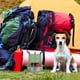 thumbnail image 4 of Estufa de queroseno para exteriores, estufa pequeña de combustión, estufa de camping, estufa portátil para tienda de campaña, equipo de camping, 4 of 7