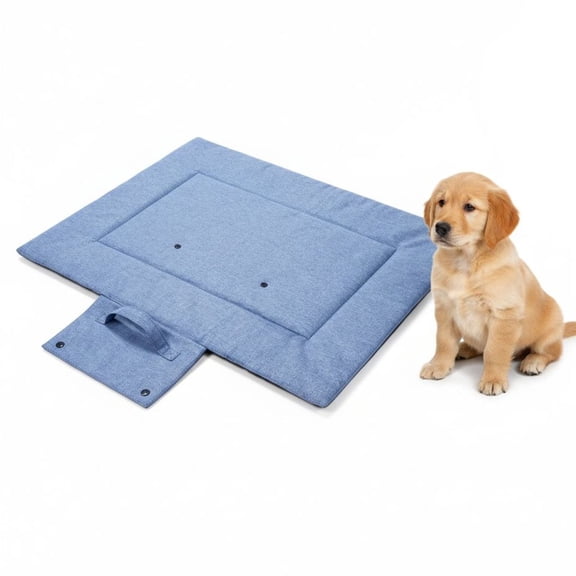 Water-Repellent Dog Mat, 27.6 x 19.7 in Outdoor Dog Bed with Space Cotton, Stain-Proof and Scratch-Proof, Portable and Machine Washable, Suitable for All Seasons, Blue