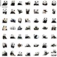 thumbnail image 2 of 50 pegatinas de panda adorables, pegatinas láser impermeables, pegatinas para coche, pegatinas para portátil, pegatinas para motocicleta, bicicleta, equipaje, parches de grafiti para camisetas., 2 of 5