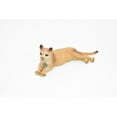 thumbnail image 6 of Lion, Cougars, Mountain Lion, Puma, Realistic Rubber Figure, Model, Hand Painted Figurines 4" CH153 B248, 6 of 8