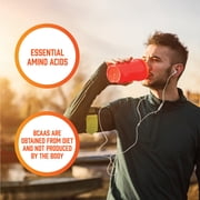 NOW Sports Nutrition, Branched Chain Amino Acids, With Leucine, Isoleucine and Valine, 240 Veg Capsules