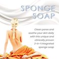 thumbnail image 3 of T.TAiO Lot de 2 Éponges-Savons pour Spa Beauté et Douche, Éponges-Savons Esponjabon (Perle+avoine, 2 Pcs), 3 of 8