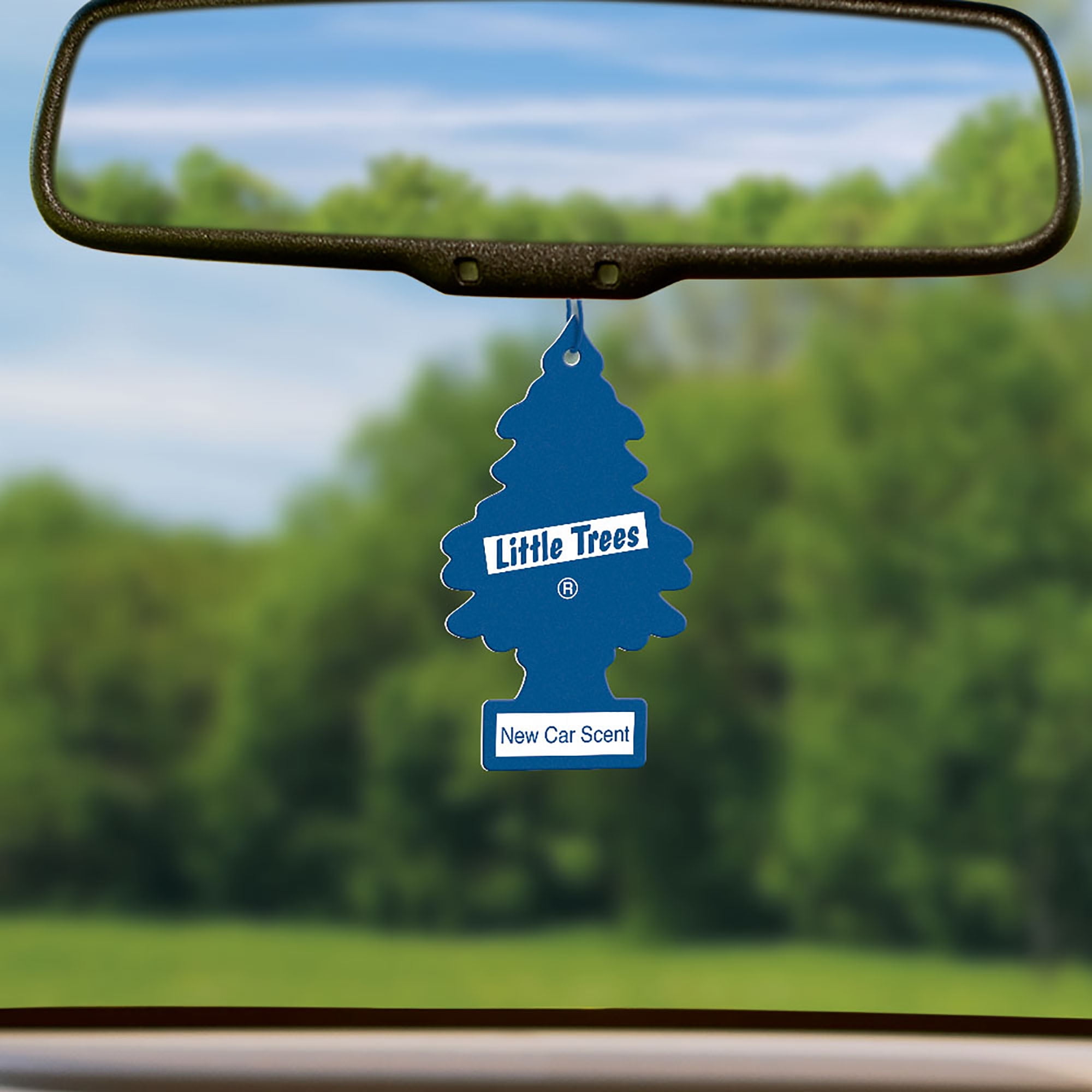 Little Trees Air Freshener New Car Scent Fragrance 6 Pack Walmart Com Walmart Com Little Trees Air Freshener New Car Scent Fragrance 6 Pack Walmart Com Walmart Com