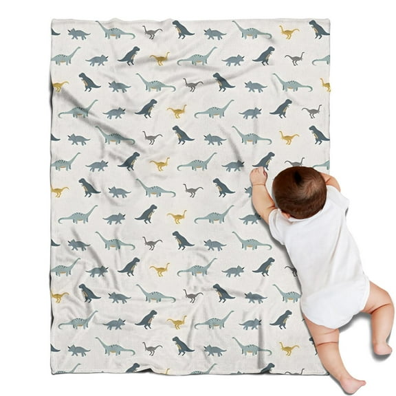 LightGray Cartoon Dinosaurs Pattern Blanket,Comfortable Soft Lamb Wool Throw Blanket,All Season,Warm Lightweight Blankets for Sofa Bed Couch Living Room Chair,30"x40"