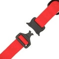 thumbnail image 4 of One Paw, Silicone Dog Collar with Metal Buckle, Water Repellent, Multiple Sizes, 4 of 10