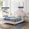 thumbnail image 4 of Modway Lit Plateforme Simple en Velours de Performance Capitonné Gwyneth - Rose, 4 of 11
