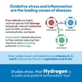 thumbnail image 4 of Botella de agua Hydroh Original Hydrogen 450 ml con tecnología SPE/PEM, 4 of 6
