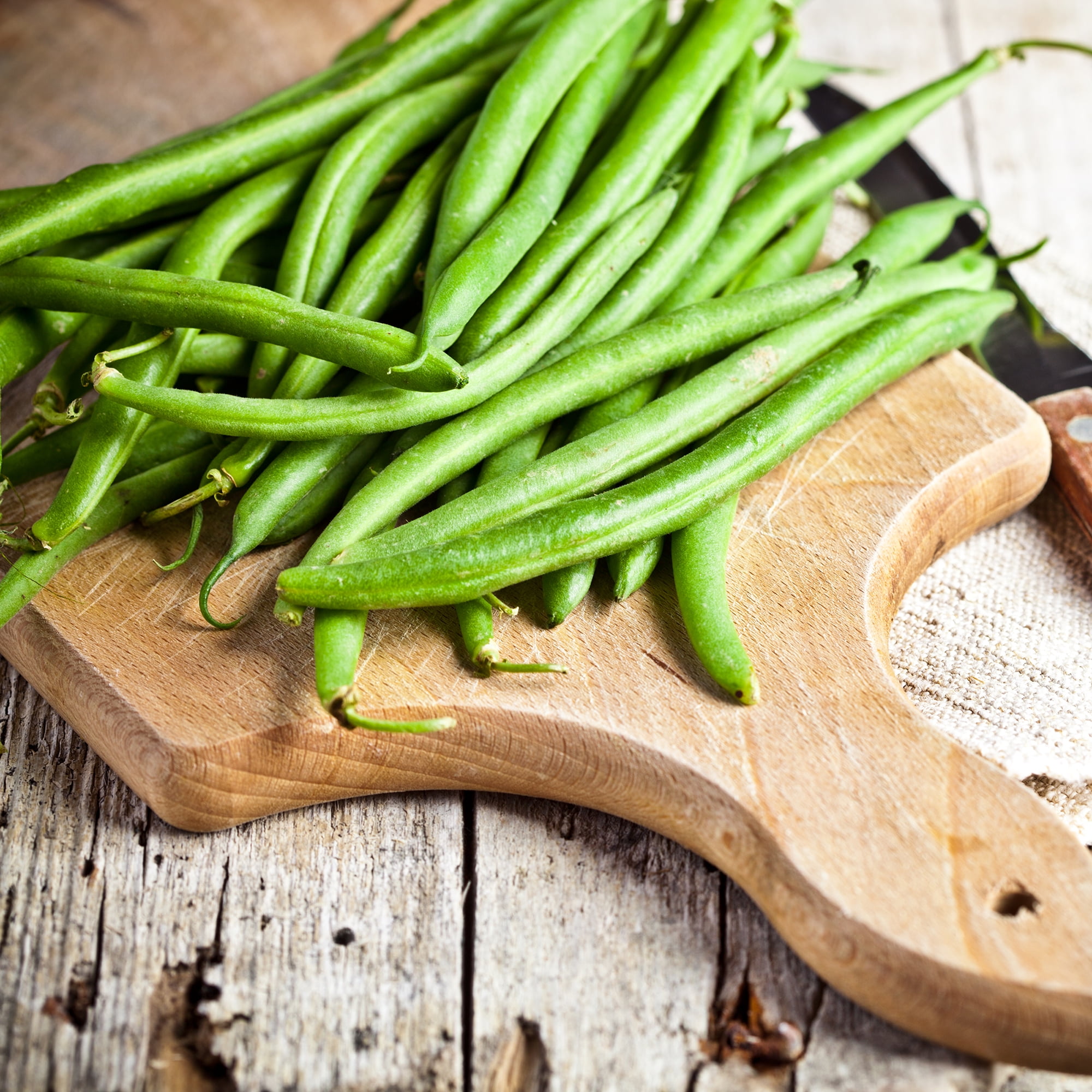 Beansページ Back to the Roots Organic Tender Green Bean Seed Packet