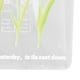 thumbnail image 5 of Organizador de papel transparente, multiusos, con pinza para fotos de doble cara, diseño de tulipán acrílico, color blanco claro, 5 of 8