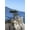 Unframed, variant on Art.com Lone Cypress on the 17-Mile Drive, Monterey Peninsula, California Photo by Carol Highsmith, 12" x 18"