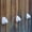 White 4PCS, variant on EROCK 8 LED Solar Outdoor Deck Lights Path Garden Patio Pathway Stairs Step Fence Lamp