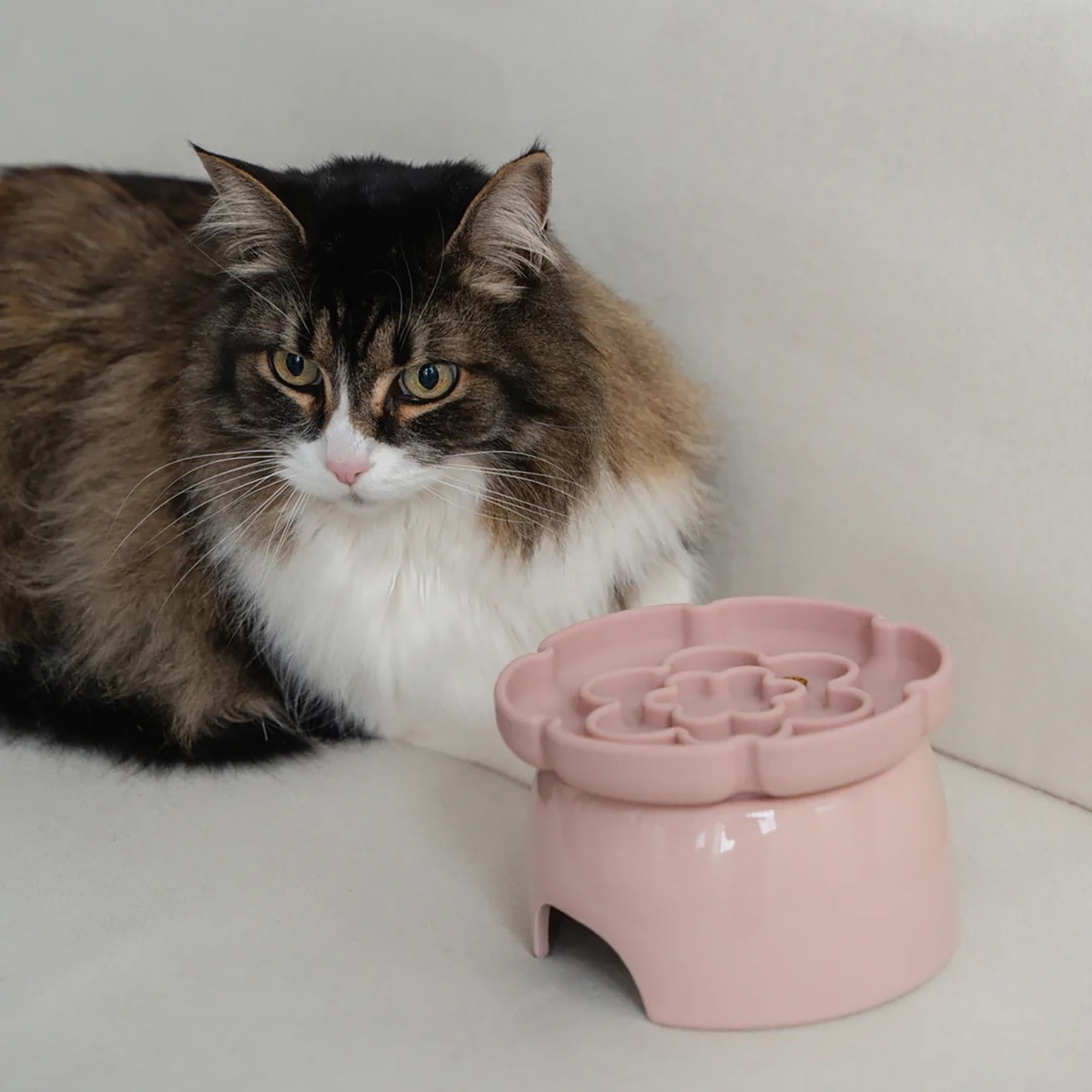 Dexypaws: Flower Elevated Slow Feeder - Pink Blush - 7.75oz Capacity, Silicone Cat Dish w/ Removable Ceramic Stand, Pet Meal Feeding, Water & Food