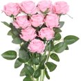 thumbnail image 1 of ZOELNIC 10 rosas artificiales para San Valentín, rosas de seda de tacto real, ramos de tallo largo con una sola flor falsa para decoración del hogar, boda o fiesta (10 rosas), 1 of 7