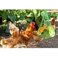 thumbnail image 3 of Chicken Vegetable String Bag Poultry Fruit Holder Chicken Cabbage Feeder Treat Feeding Tool with Hook for Hens Chicken Coop Toy for Hen Goose Duck, 3 of 7