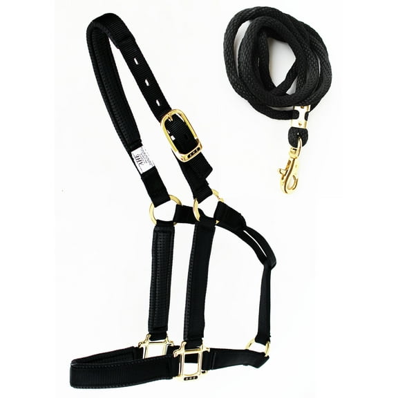 1" Horse Western Nylon Web Padded Halter Brass Plated Hardware Lead Rope Tack 107HL03BK