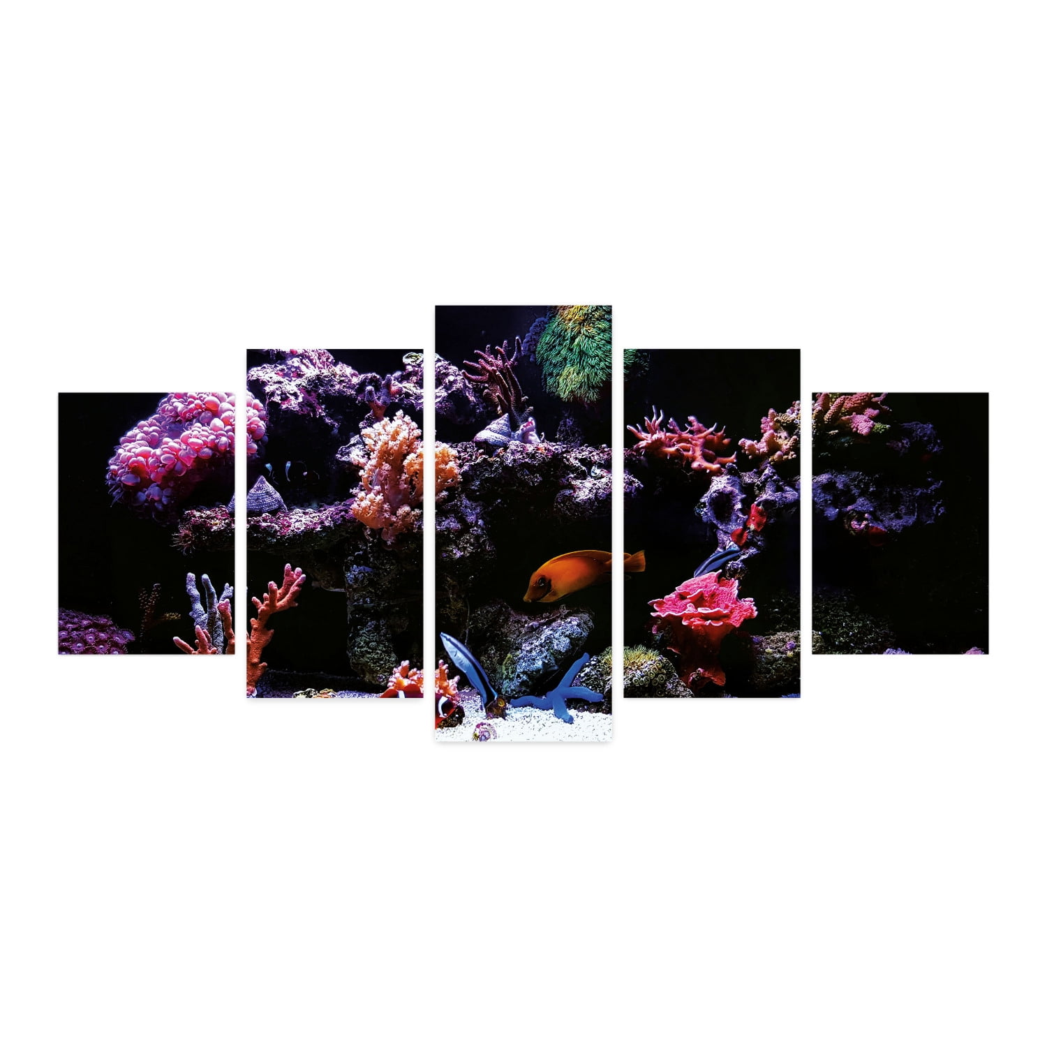 Animal 5 Panels Acrylic Glass Wall Art, Underwater Ocean Themed
